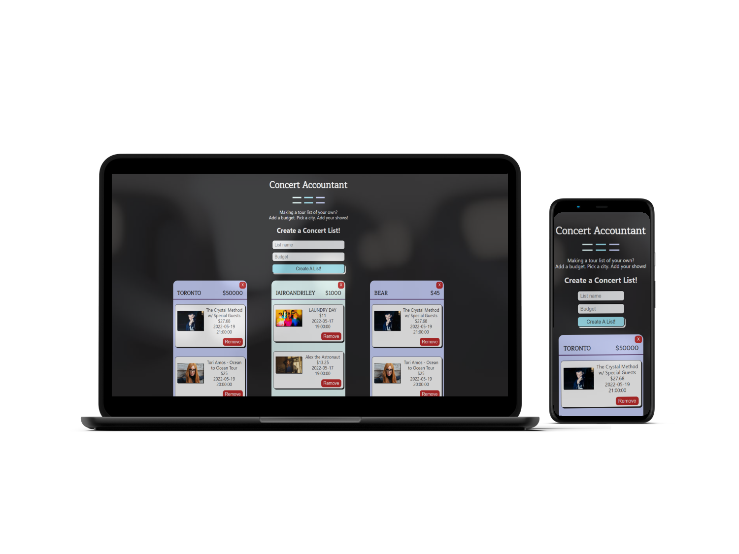 Screenshoot of Concert Accountant Project